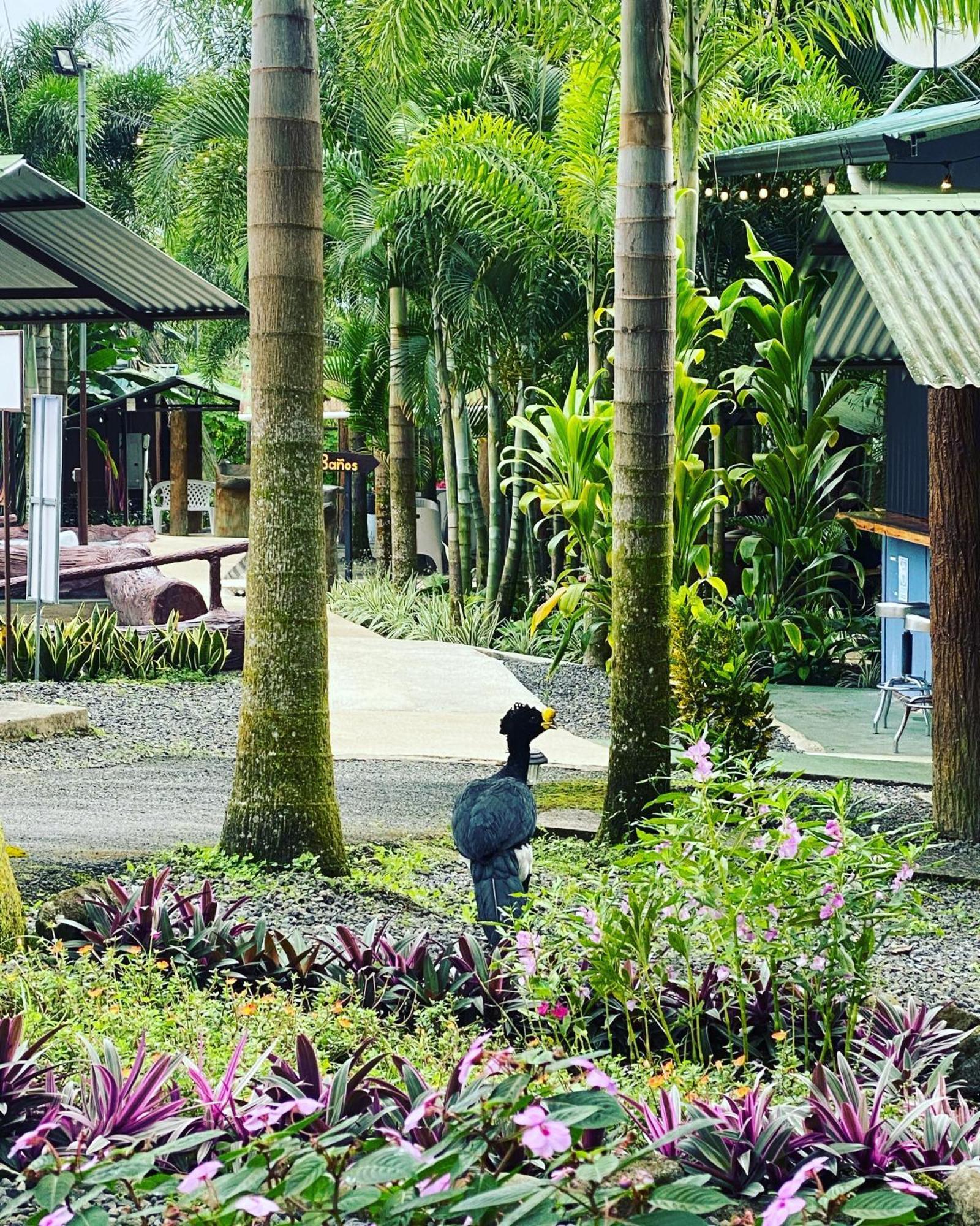 Hotel Termales Del Arenal La Fortuna Exteriér fotografie
